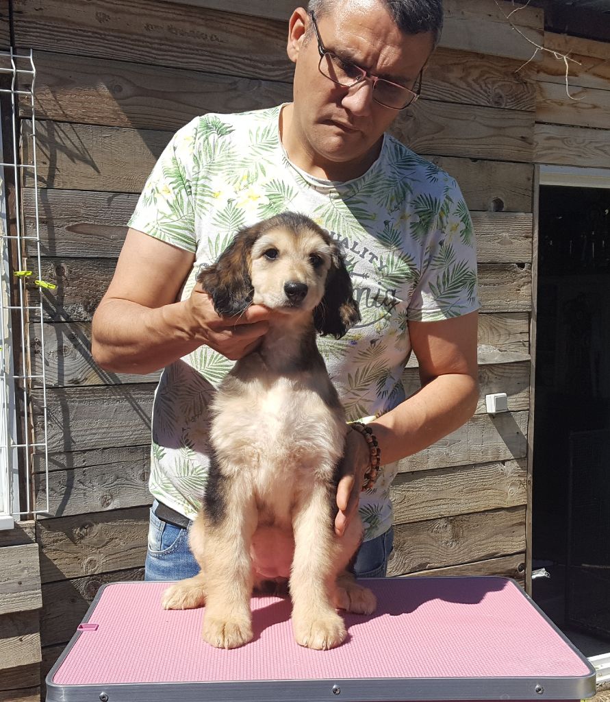 Publication : De hillsbury