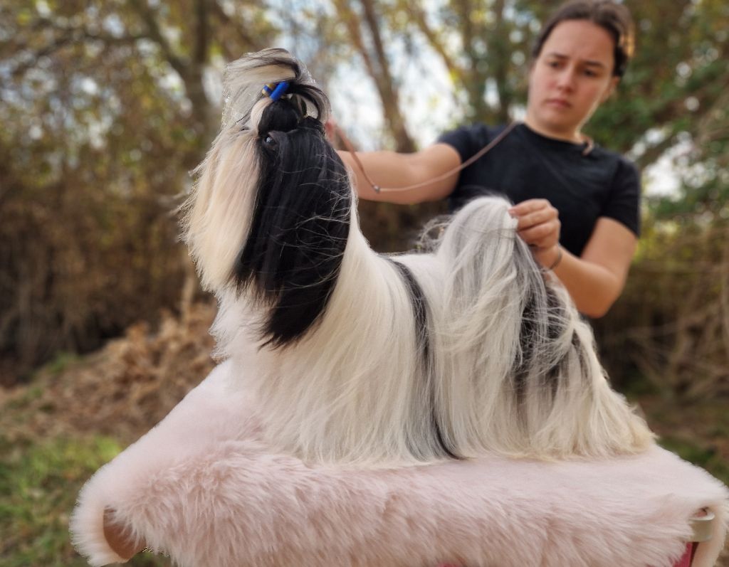 Publication : De hillsbury