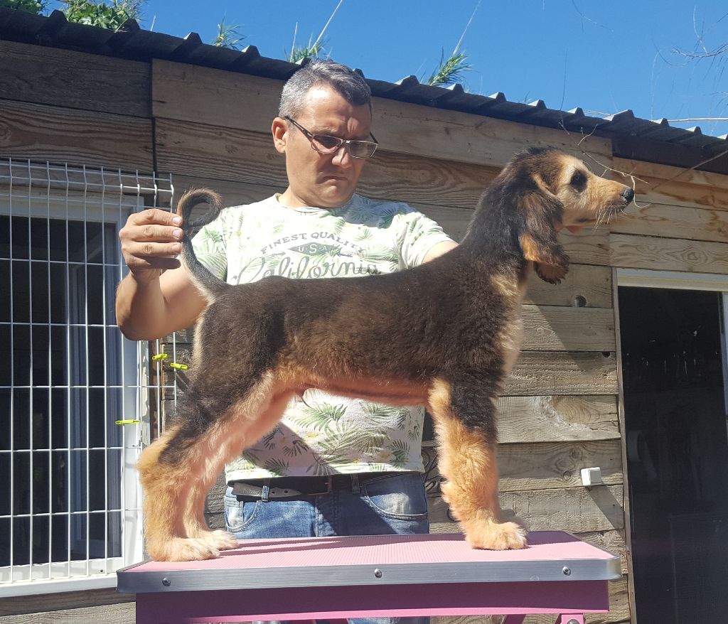 Publication : De hillsbury