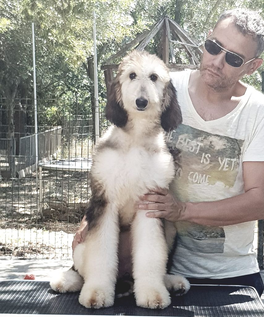 Publication : De hillsbury