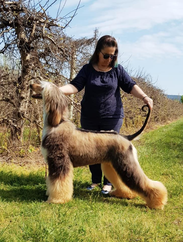 Publication : De hillsbury