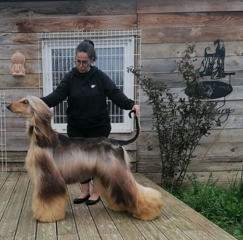 Publication : De hillsbury