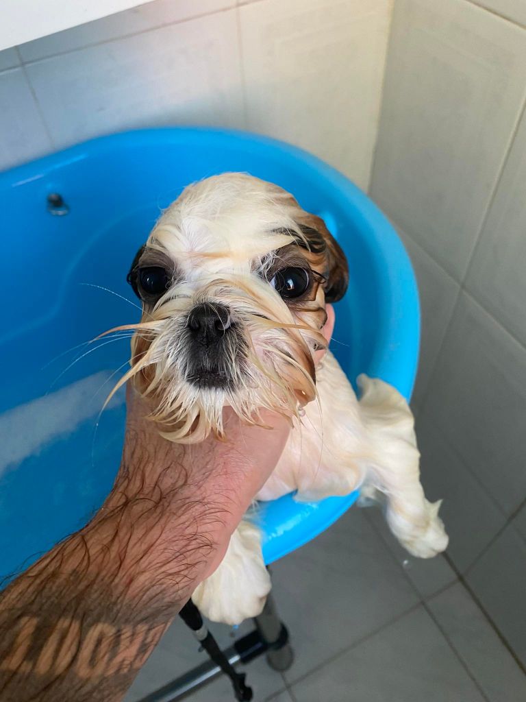 Publication : De hillsbury