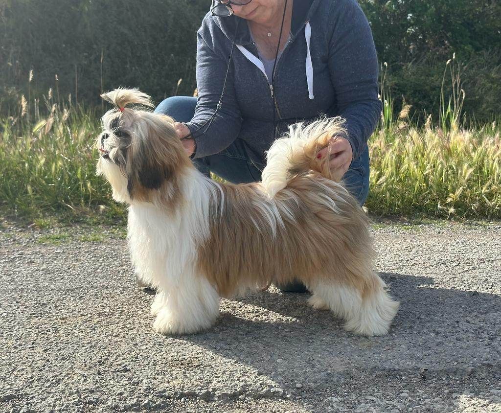 Publication : De hillsbury