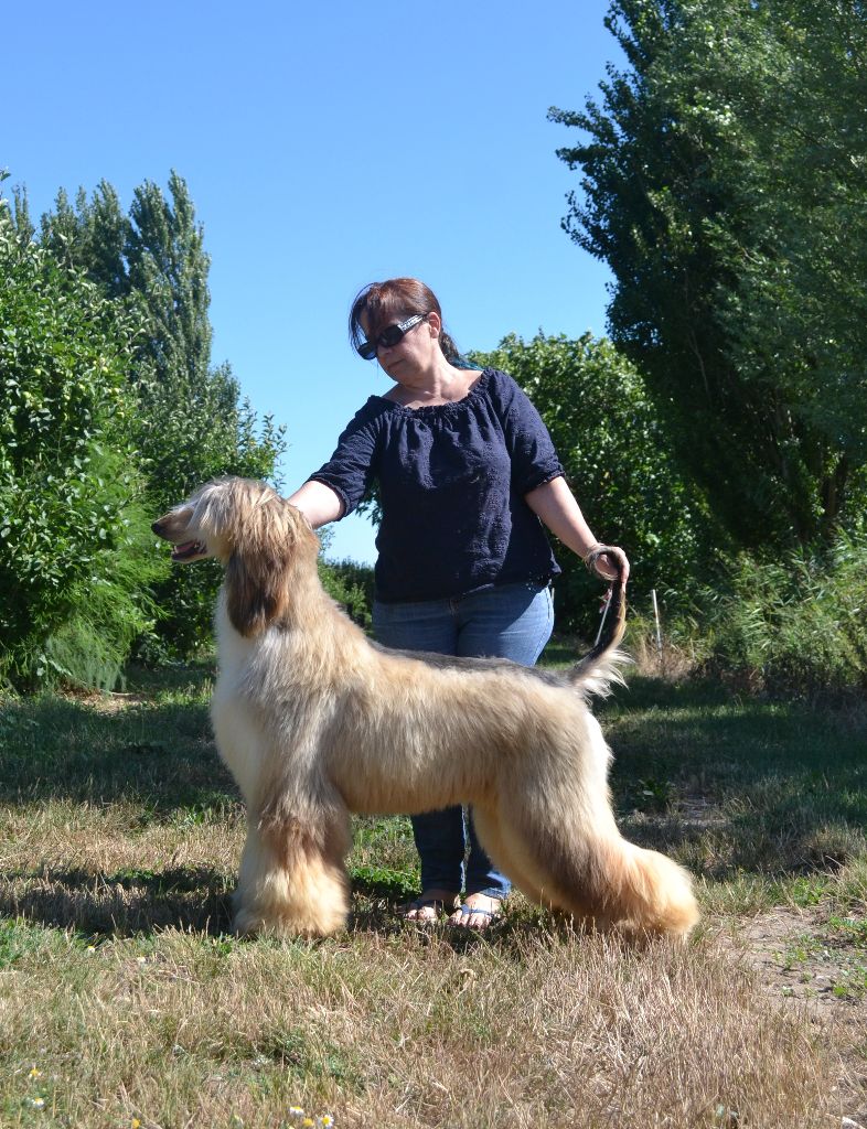 Publication : De hillsbury