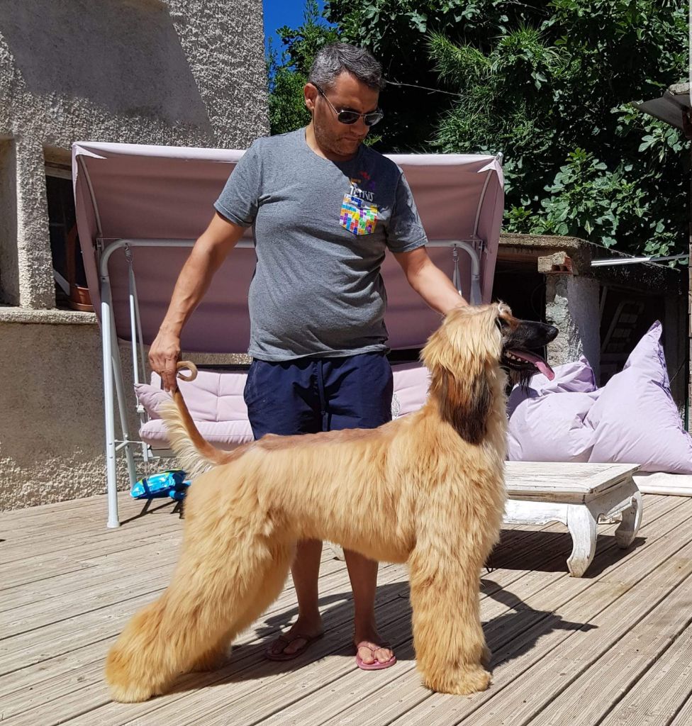 Publication : De hillsbury