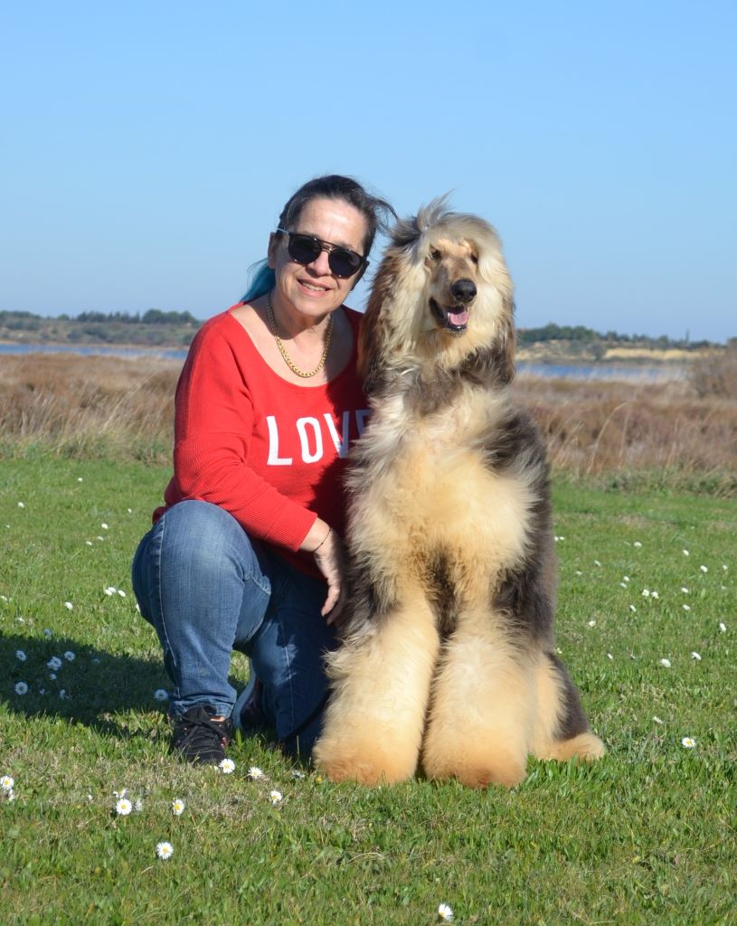 Publication : De hillsbury