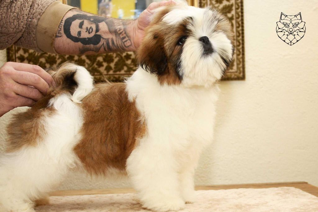 Publication : De hillsbury