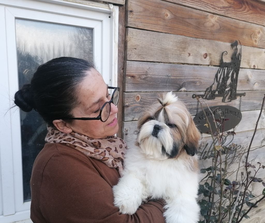 Publication : De hillsbury