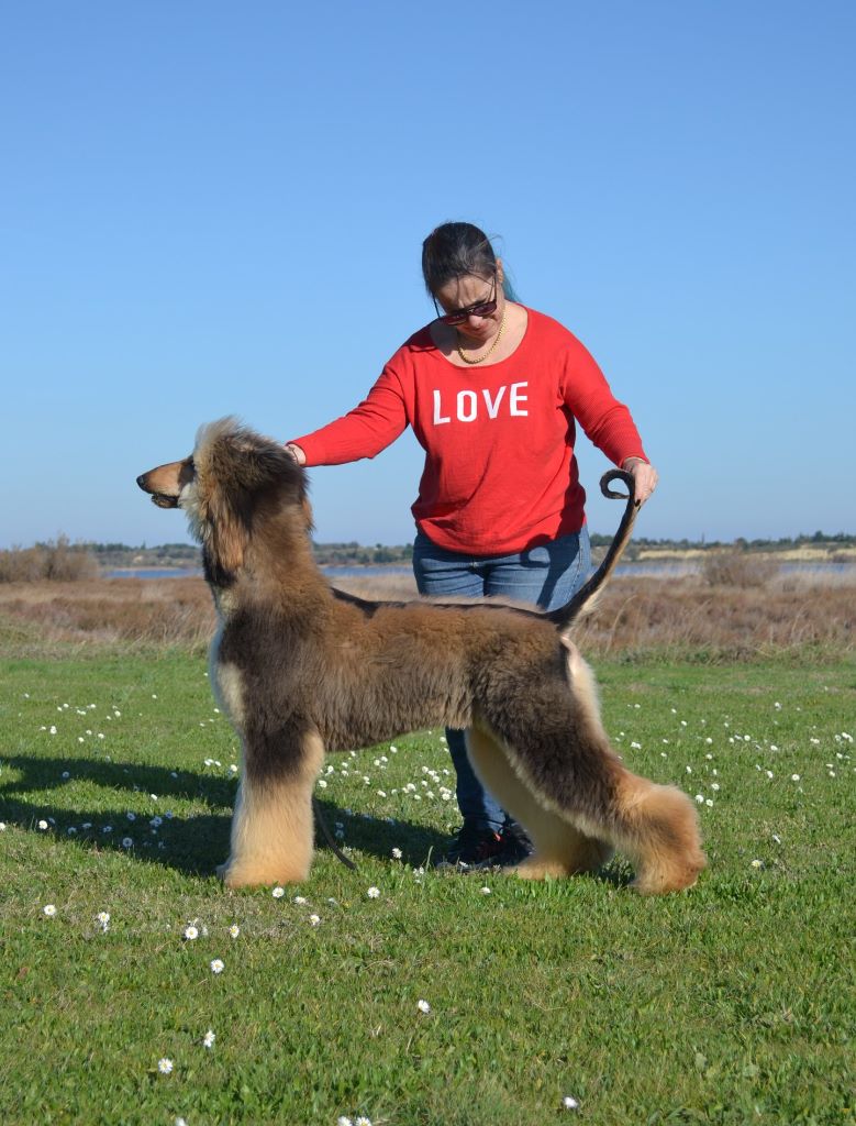 Publication : De hillsbury