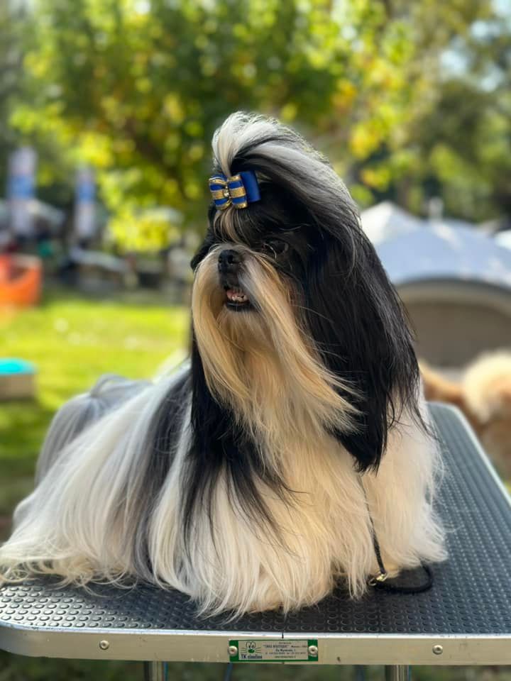 Publication : De hillsbury