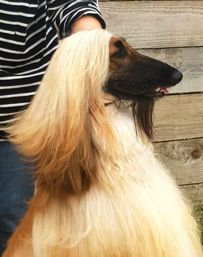 Publication : De hillsbury