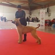 Publication : De hillsbury