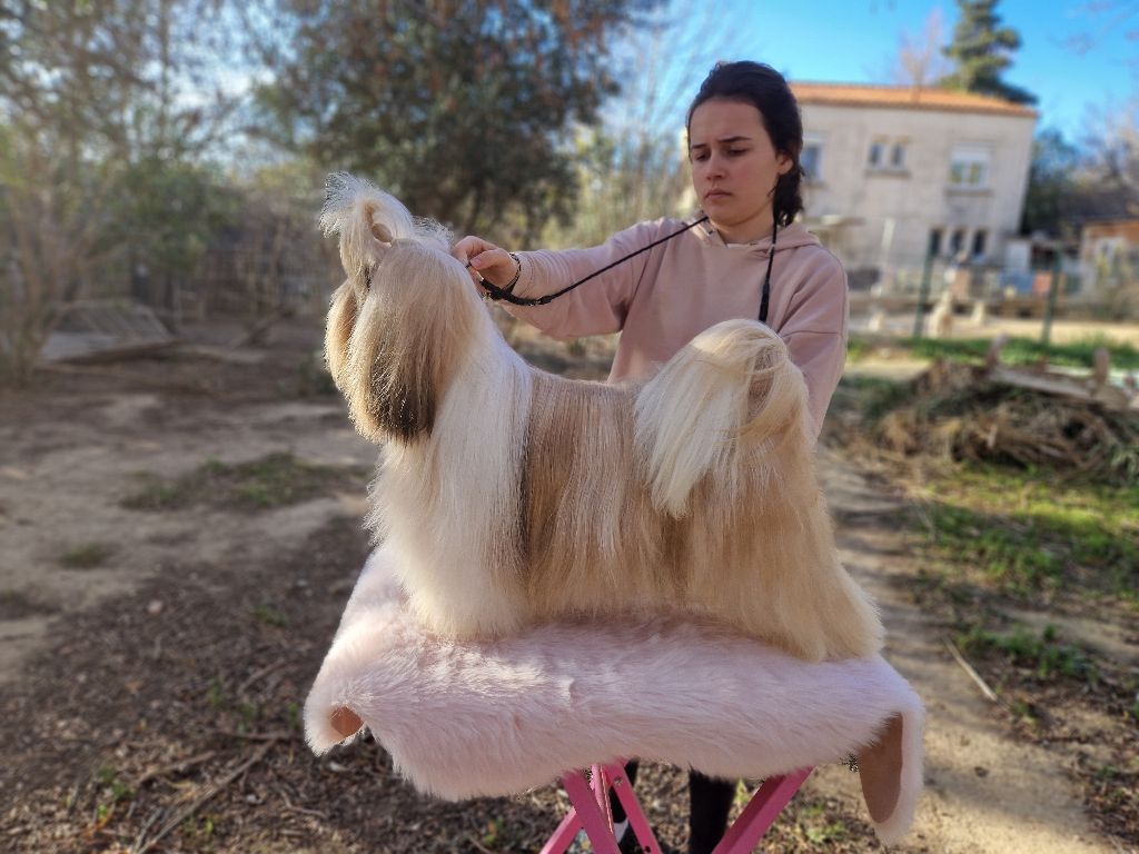 Publication : De hillsbury