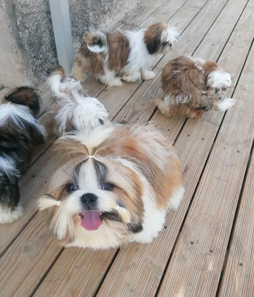 Publication : De hillsbury