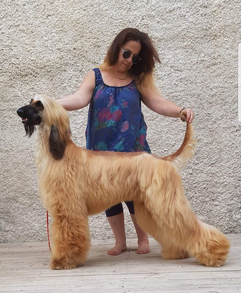 Publication : De hillsbury