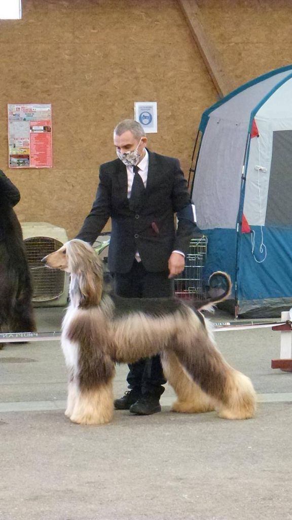 Publication : De hillsbury