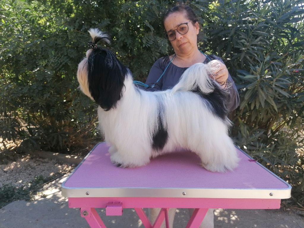 Publication : De hillsbury