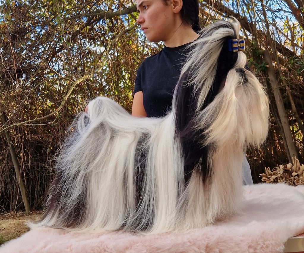 Publication : De hillsbury