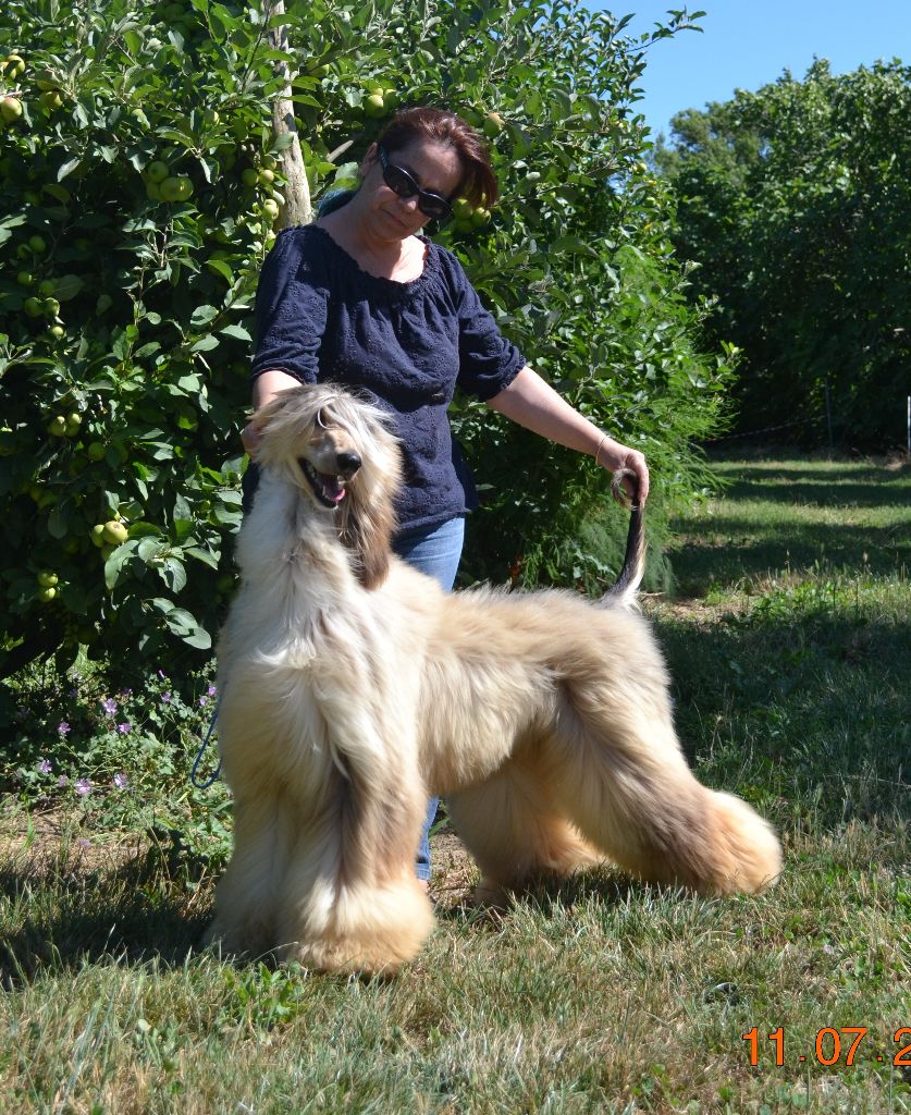 Publication : De hillsbury