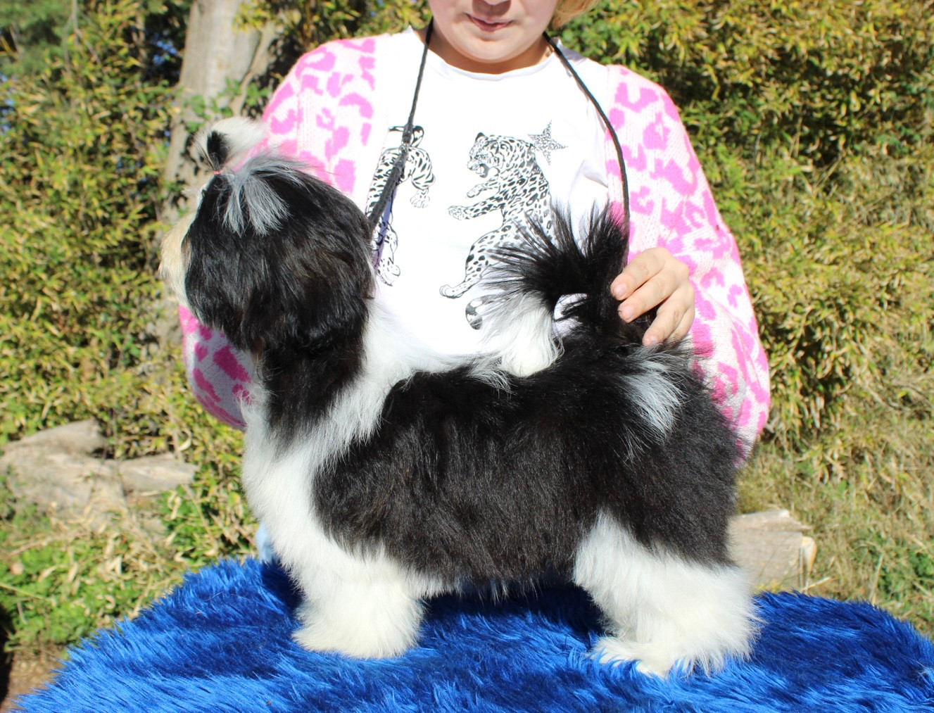 ALIZÉE DE HILLSBURY