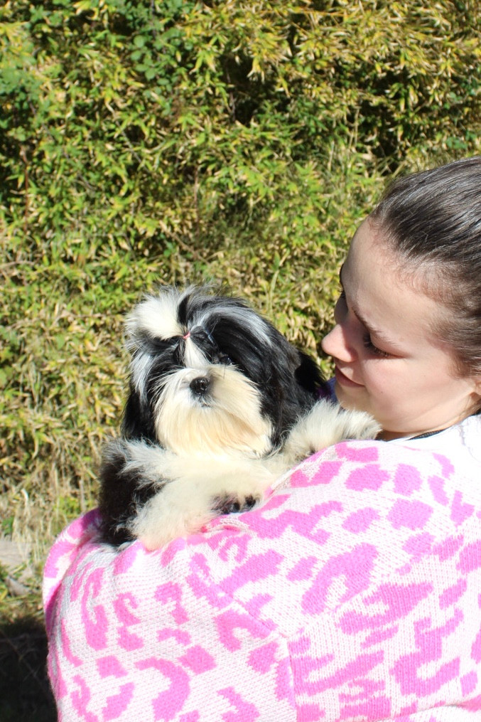 ALIZÉE DE HILLSBURY