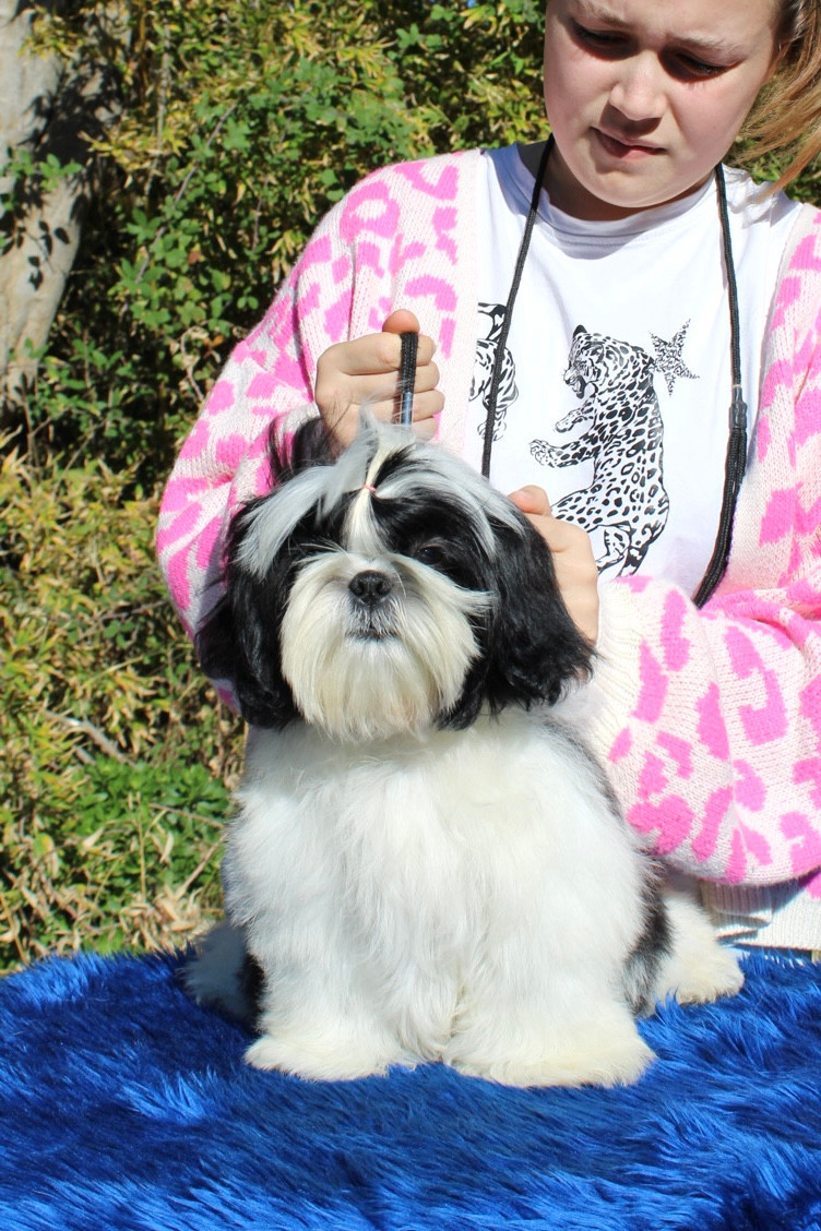 Air force one DE HILLSBURY