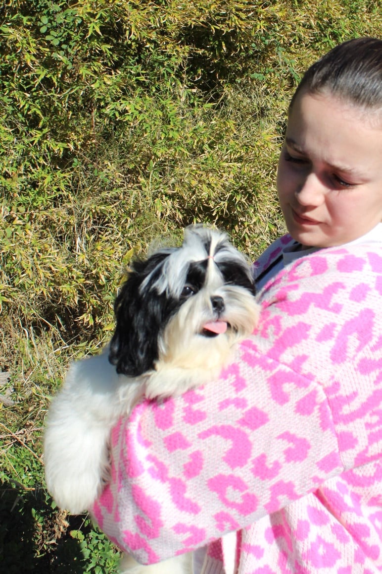 Air force one DE HILLSBURY