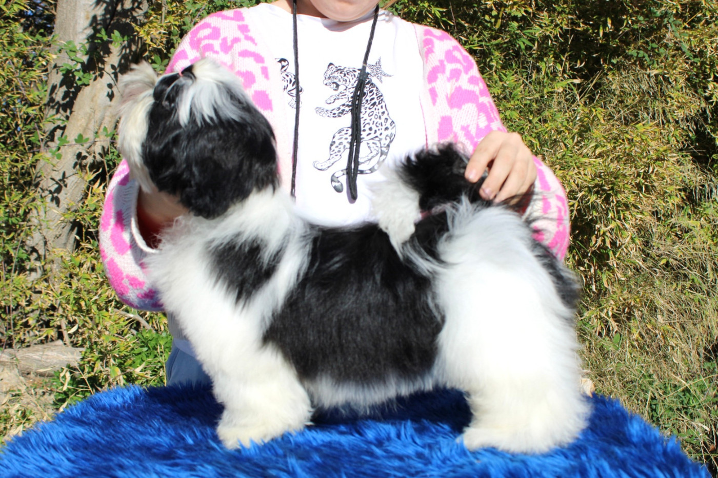 Air force one DE HILLSBURY