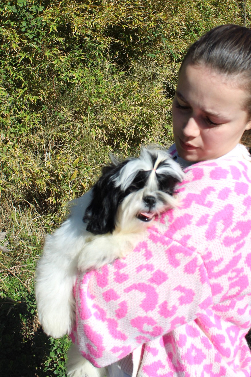 Air force one DE HILLSBURY