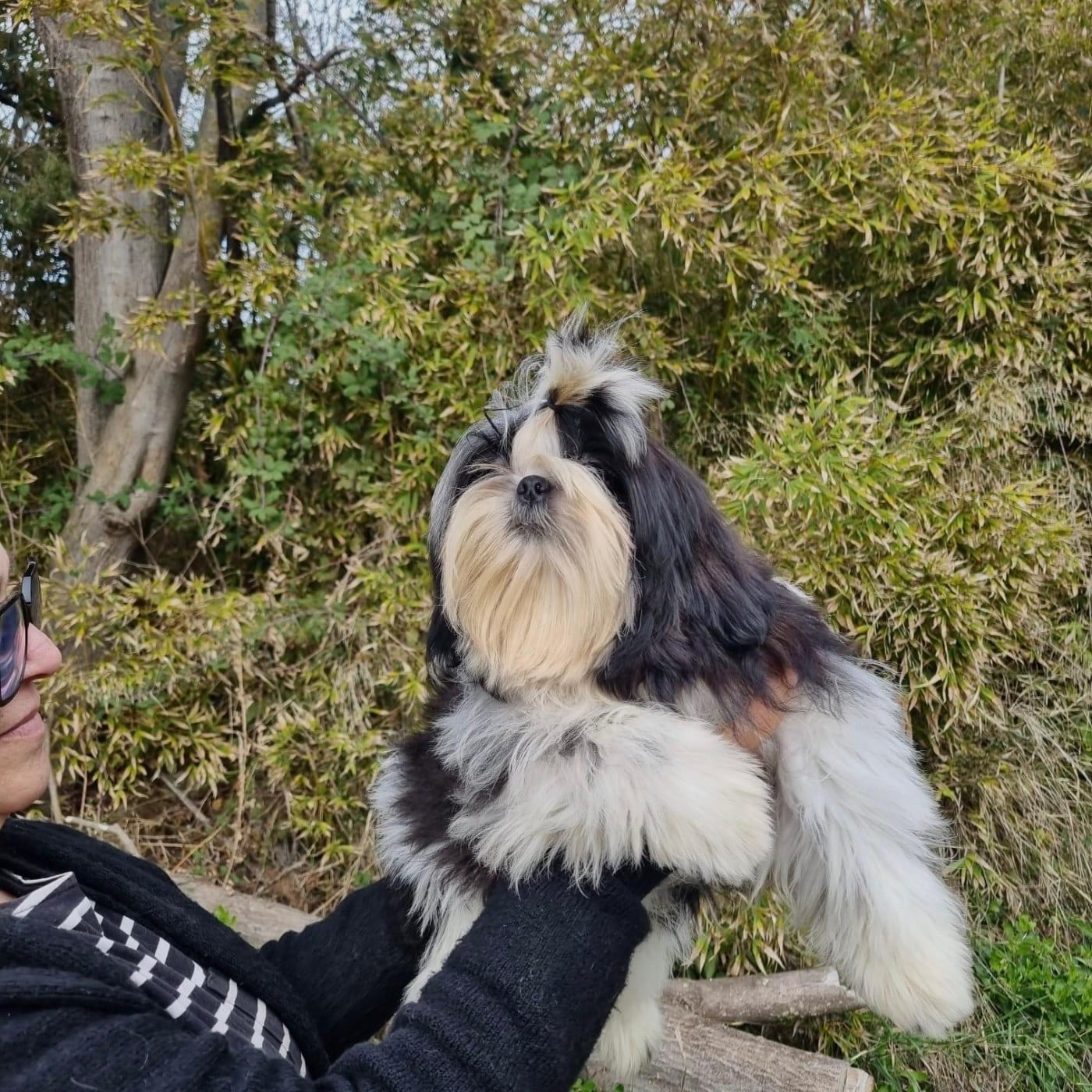 A Bitch iz a bitch DE HILLSBURY