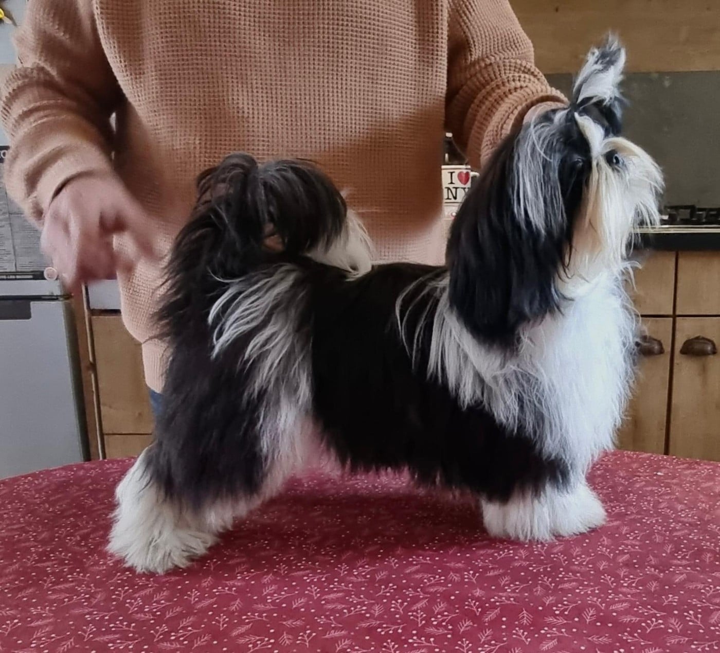 A Bitch iz a bitch DE HILLSBURY