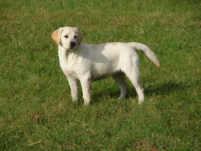 Publication : des Simandrés Auteur : Valérie Delprat