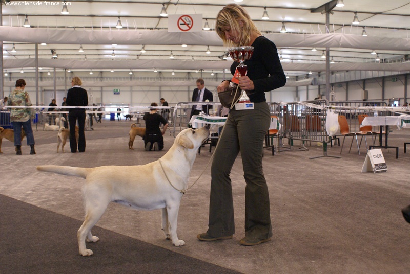 Vanille des Simandrés - 1 er EXCELLENT - RCACS RCACIB