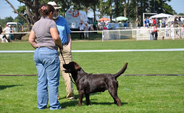 annakay Time and again - RCACS