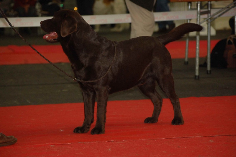 annakay Time and again - 1 er Excellent