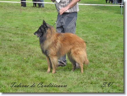 CH. Laouen De condivicnum