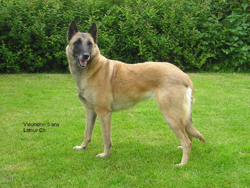 Publication : maski du van lappeenranta Auteur : M.Latour Christophe