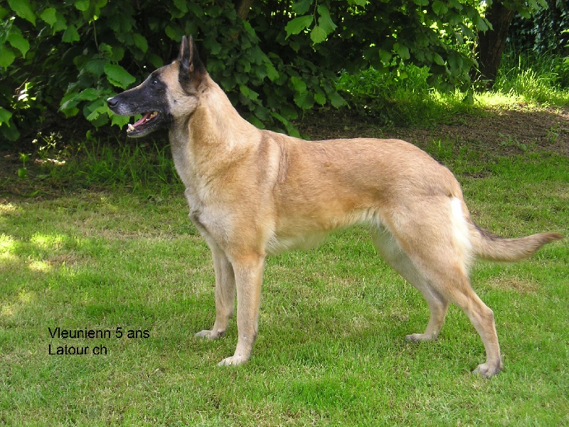 Publication : maski du van lappeenranta Auteur : M.Latour Christophe