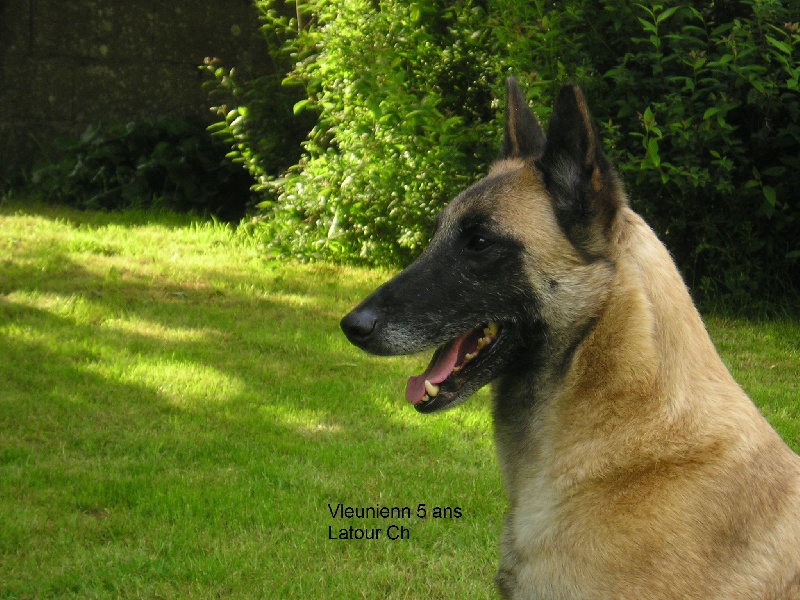 Publication : maski du van lappeenranta Auteur : M.Latour Christophe