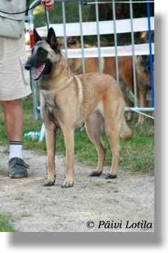 Sujet Recommandé Bohème maski du van lappeenranta - Exc classe ouverte