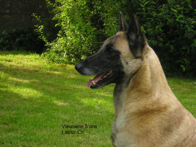 Sujet Recommandé Vleunienn maski du van lappeenranta - Exc classe ouverte