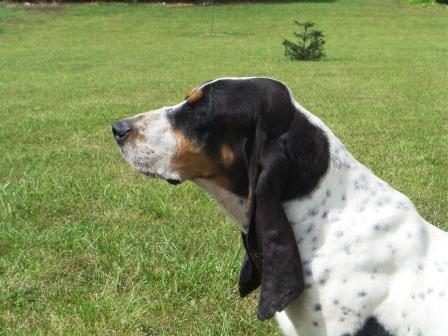 Publication : des Echos de Puymerle