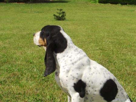 Publication : des Echos de Puymerle