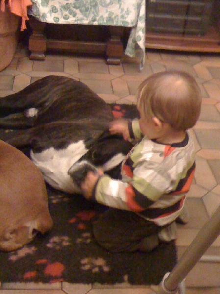 Ugo du cos lavigerie