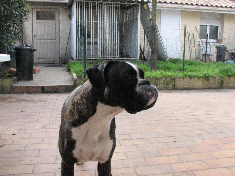 Ugo du cos lavigerie