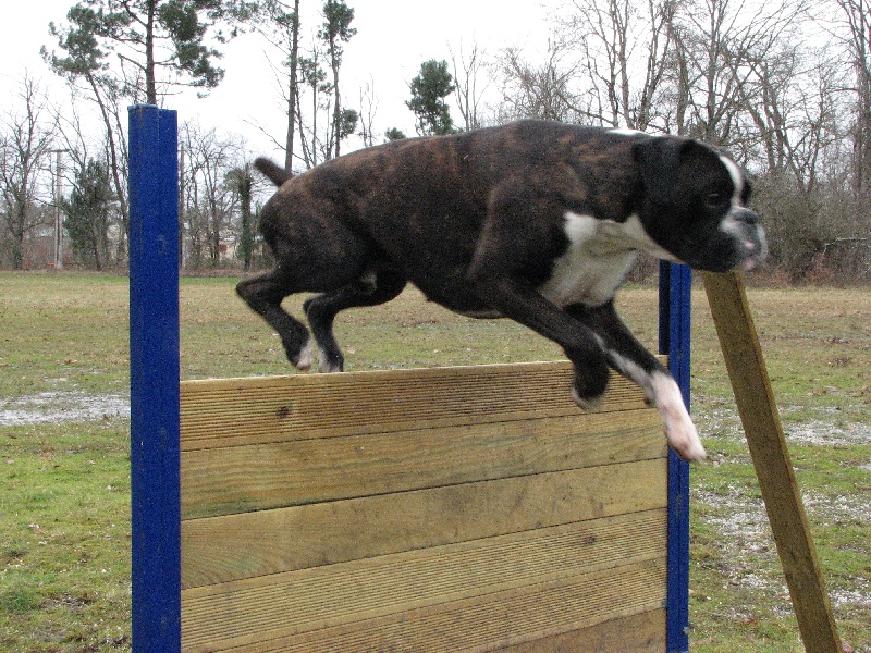 Ugo du cos lavigerie