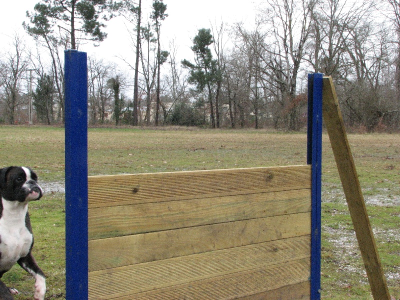 Ugo du cos lavigerie