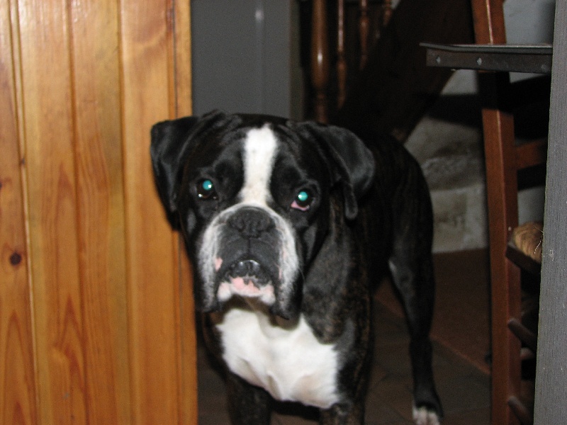 Ugo du cos lavigerie