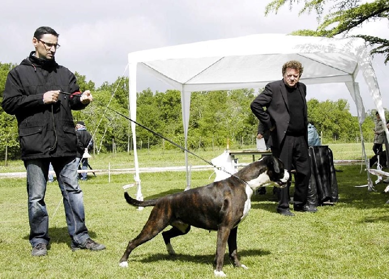 Hyochi du cos lavigerie - Excellent. Non classée.